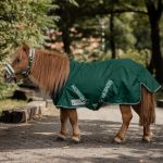 Manta para lluvia Shetty Light verde abeto