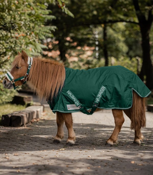 COMFORT Manta para lluvia Shetty, 100g verde abeto