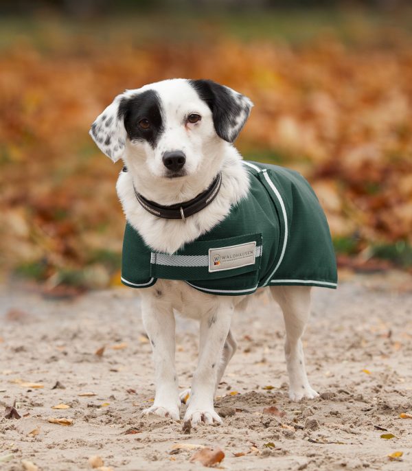COMFORT Manta para perros, 200 g verde abeto