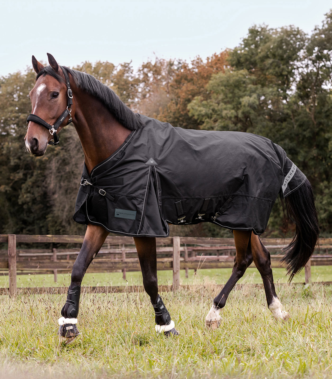 Manta para exterior SCANDIC, 300 g negro - Imagen 8