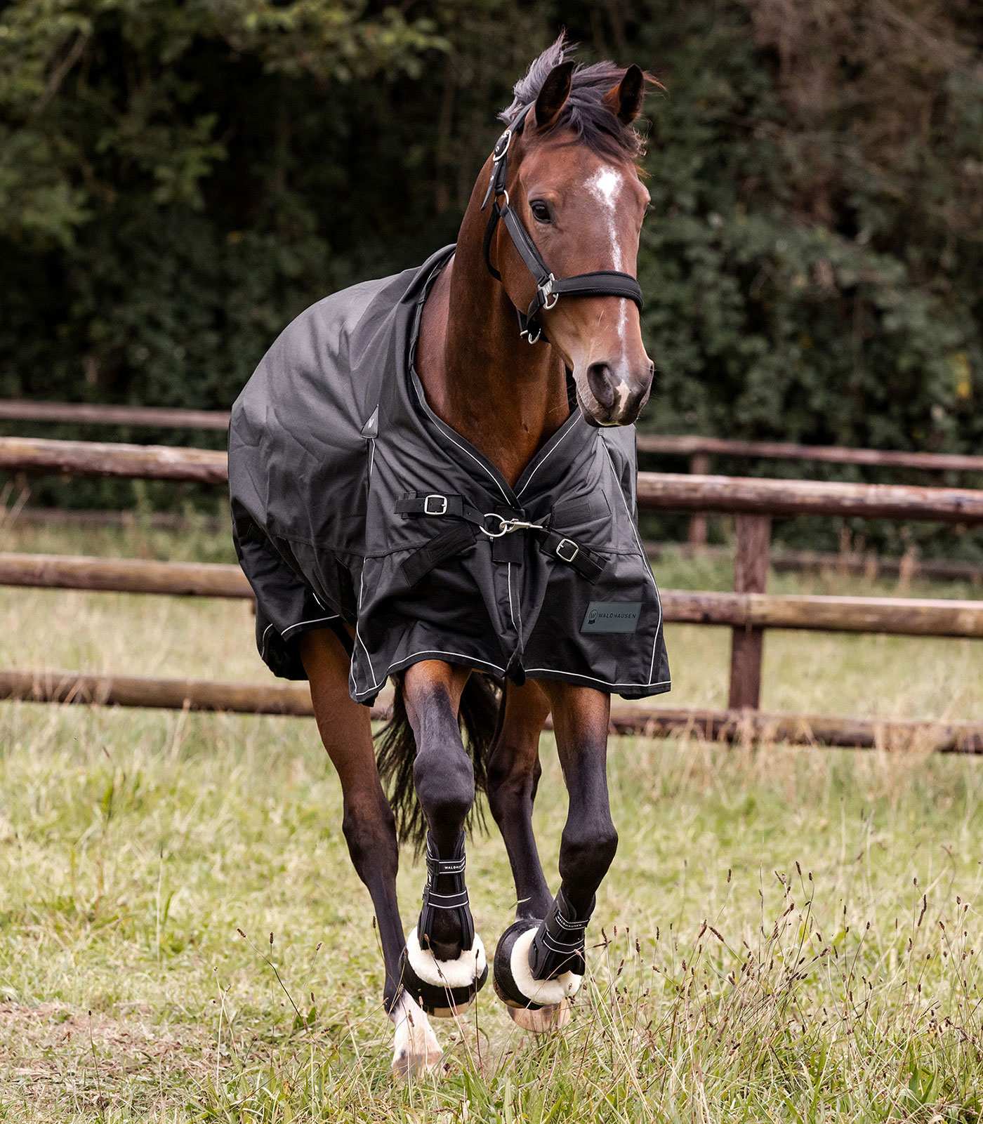 Manta para exterior SCANDIC, 300 g negro - Imagen 9