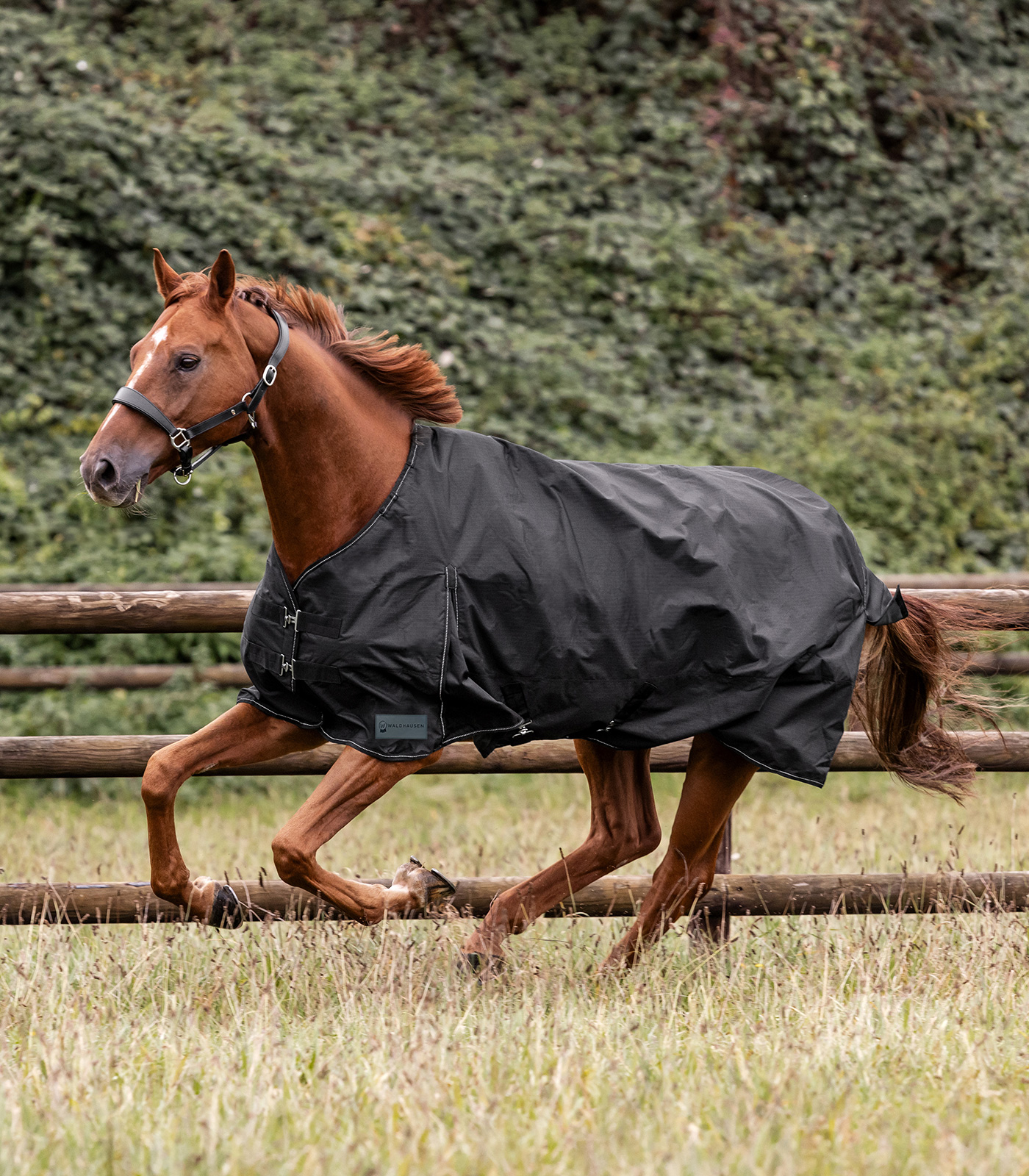 NORDIC Manta para exterior, polar negro - Imagen 7