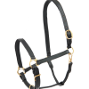 Cabezada de cuero STAR Robust negro - Imagen 3