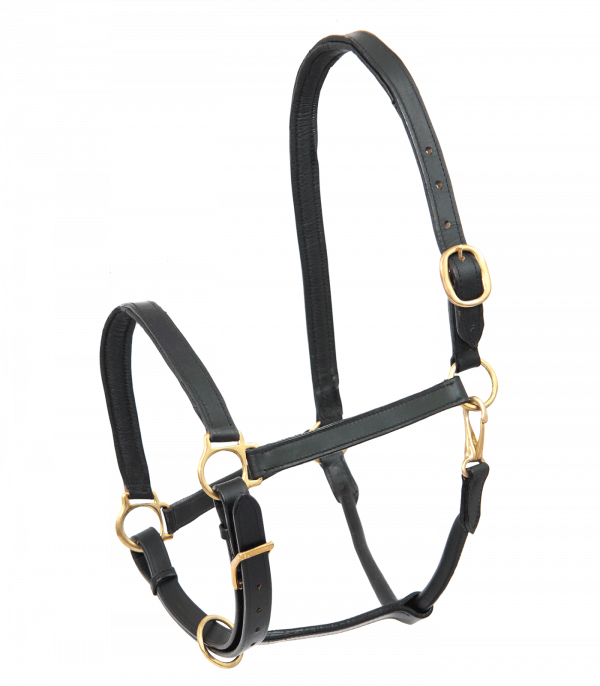 Cabezada de cuero STAR Robust negro