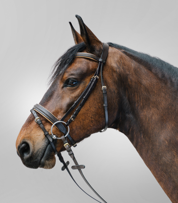 Brida STAR Diamond marrón/oro