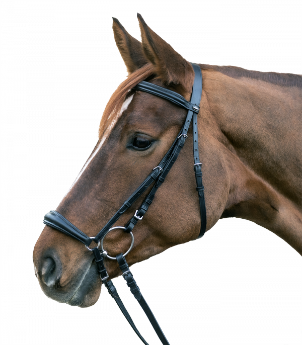 Brida STAR Hannover negro