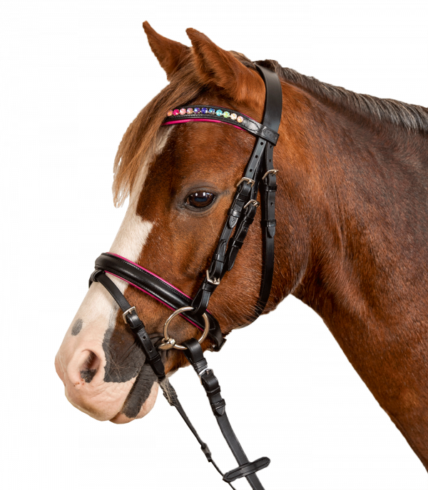 Brida STAR Pinky negro