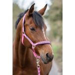 HKM Cabezada set con mosquet. -Crystal- acolchado