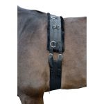 HKM Cinchuelo -Teddy-