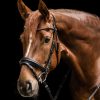 Waldhausen X-Line Brida Favourite negro - Imagen 2