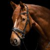 Brida Waldhausen S-Line Glamour negro - Imagen 4
