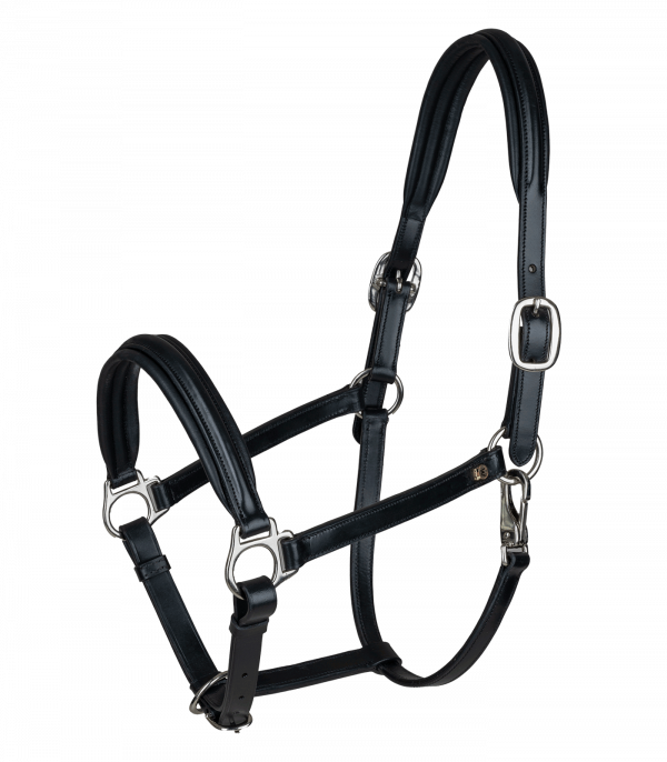 Cabezada de cuero Waldhausen S-Line Classy negro/plata