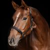 Cabezada de cuero Waldhausen S-Line Classy negro/plata - Imagen 2