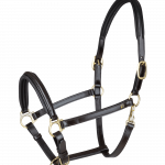 Cabezada de cuero Waldhausen S-Line Classy marrón/latón