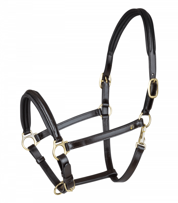 Cabezada de cuero Waldhausen S-Line Classy marrón/latón