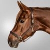 Cabezada de cuero Waldhausen S-Line Classy marrón/latón - Imagen 3