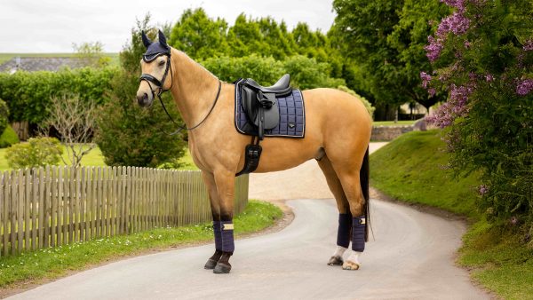 Loire Classic Dressage Square Dusk Blue