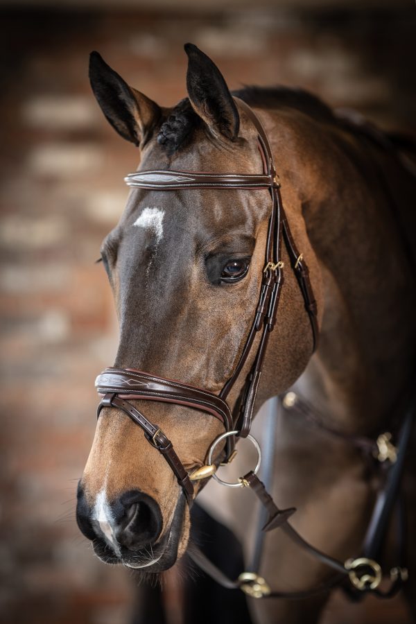 Kudos Competition Flash Bridle Havana