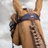 Kudos Competition Flash Bridle Havana - Imagen 3
