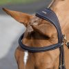 Kudos Work Bridle Brown - Imagen 3