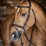 Kudos Work Bridle Brown