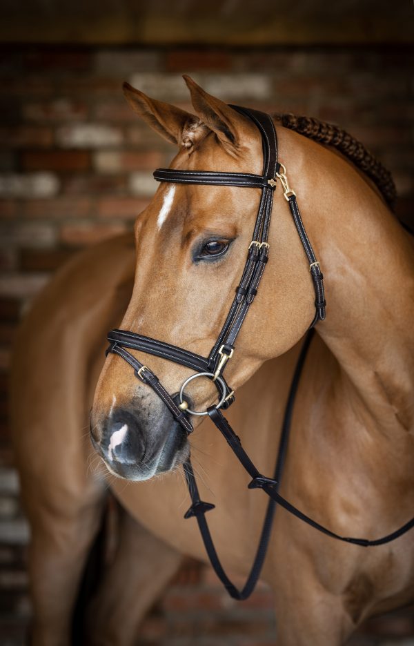Kudos Work Bridle Brown