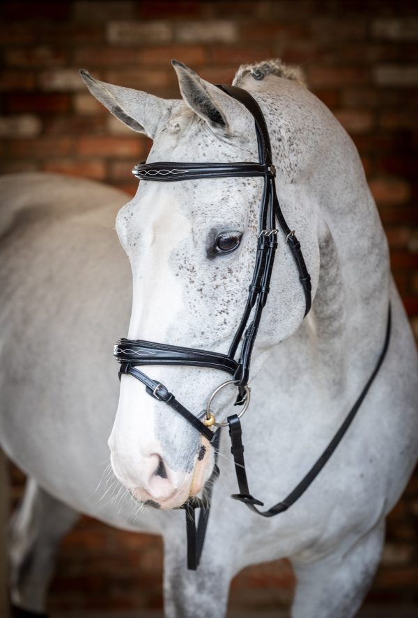 Kudos Competition Flash Bridle Black