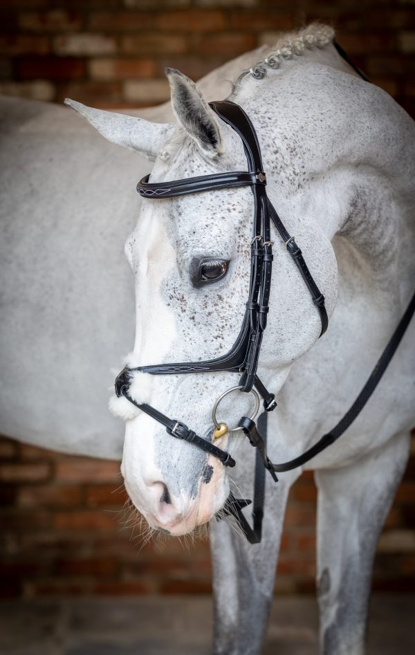 Kudos Grackle Bridle Black