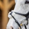 Kudos Grackle Bridle Black - Imagen 3