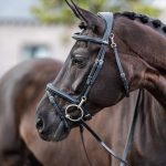 Kudos Work Bridle Black