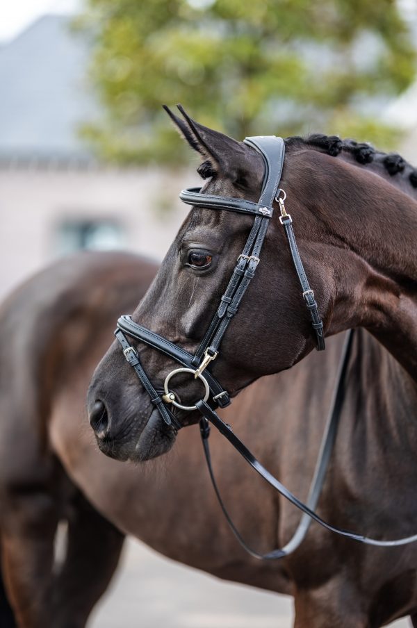 Kudos Work Bridle Black