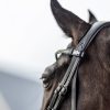Kudos Classic Dressage Bridle Black - Imagen 3