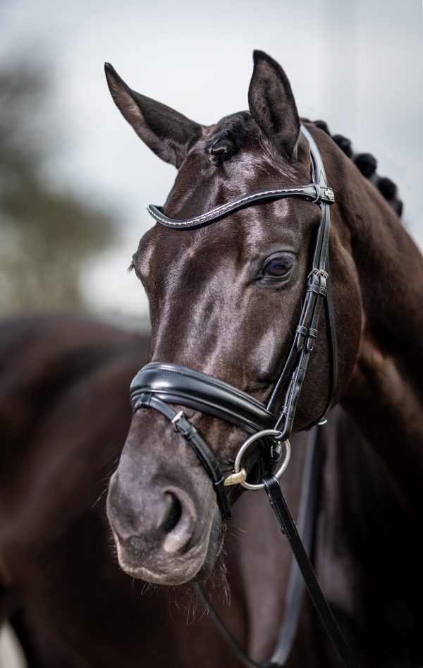 Kudos Classic Dressage Bridle Black