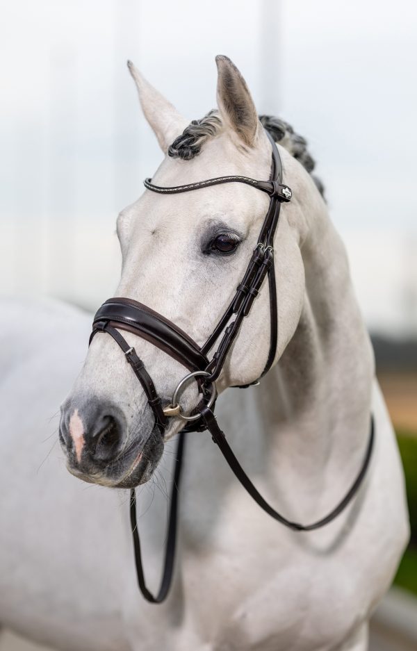 Kudos Classic Dressage Bridle Brown