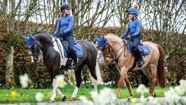 Badminton Dressage Square Blue