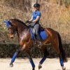 Cotton Dressage Square Benetton Blue - Imagen 3