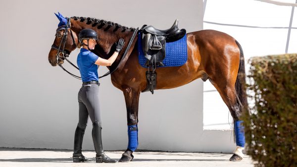 Cotton Dressage Square Benetton Blue
