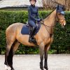 Soft Shell Anti Slip EuroJump Square Navy - Imagen 3