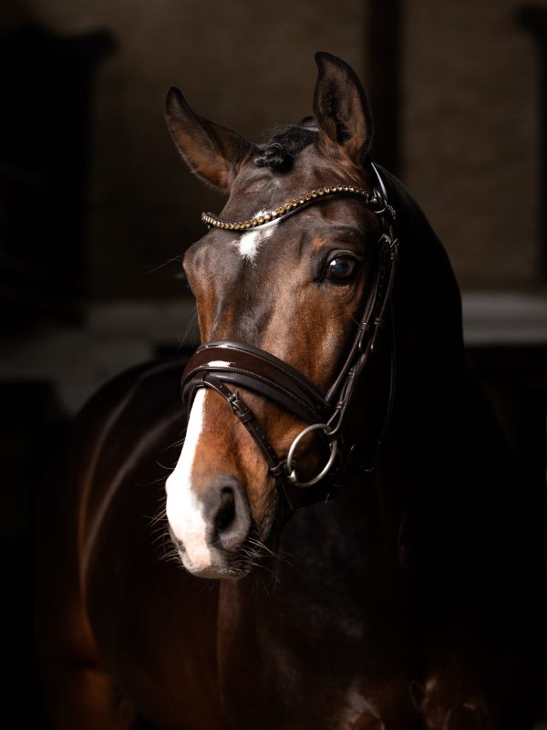 Kudos Patent Dressage Bridle Brown