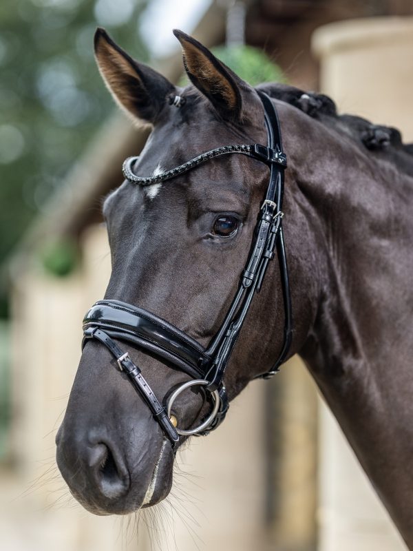 Kudos Patent Dressage Bridle Black