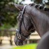Kudos Patent Dressage Bridle Black - Imagen 3