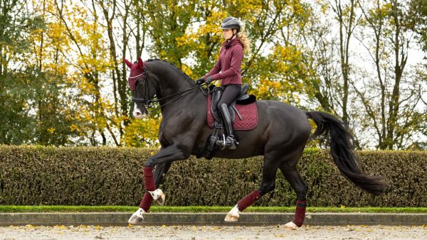 Crystal Suede Dressage Pad Burgundy