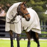 Kudos Field Rug Stone