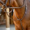 Hunter Standing Martingale Havana/Silver - Imagen 2
