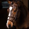 Kudos Double Noseband Bridle Havana/Brass - Imagen 3
