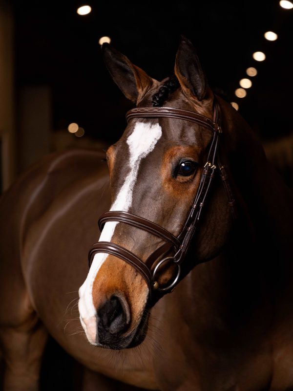 Kudos Double Noseband Bridle Havana/Brass