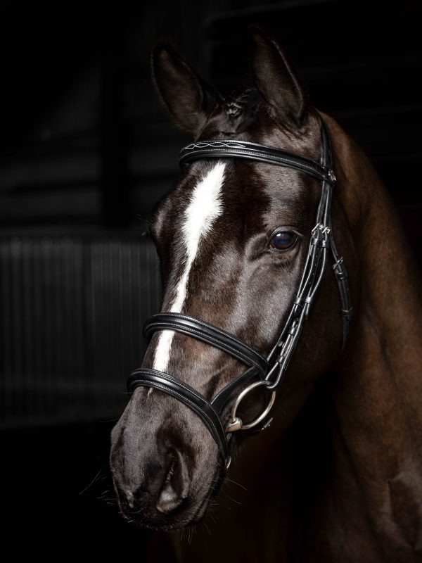 Kudos Double Noseband Bridle Black/Silver