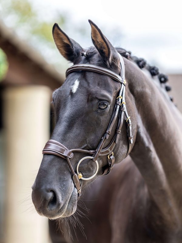 Kudos Clear Arc Bridle Havana/Brass