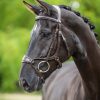 Kudos Clear Arc Bridle Havana/Brass - Imagen 3
