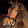Kudos Clear Arc Bridle Black/Silver - Imagen 3